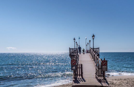 Dock Near Body of Water