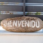 Property Management Marbella Guide