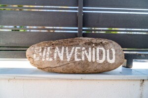 Property Management Marbella Guide